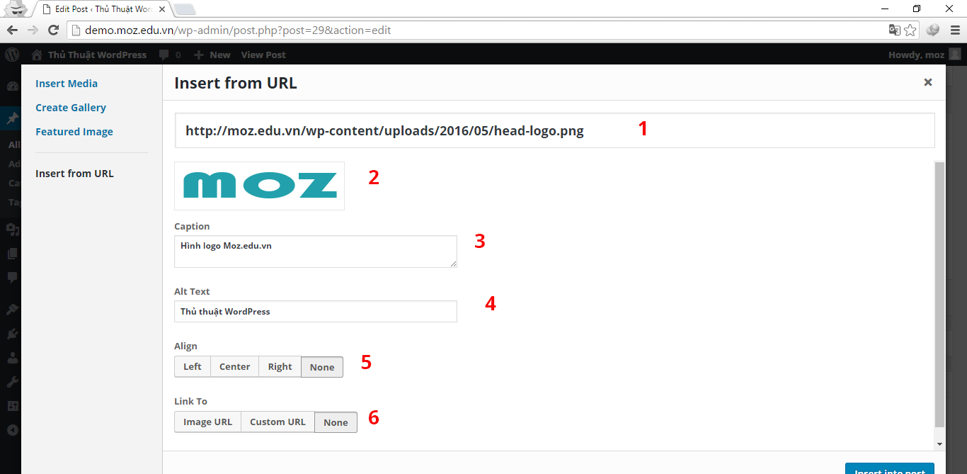 Chèn-ảnh-từ-internet-vào-wordpress-4