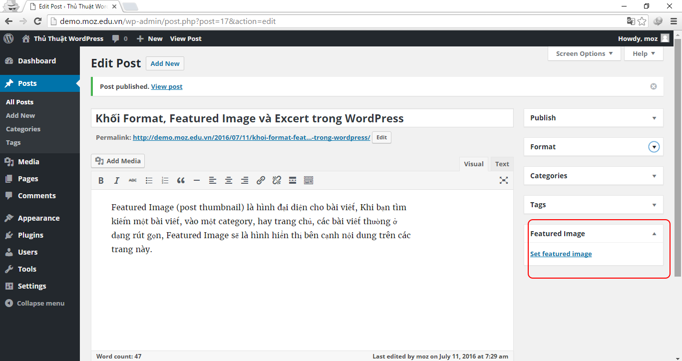 Khối-Format,-Featured-Image-và-Excerpt-trong-WordPress-3