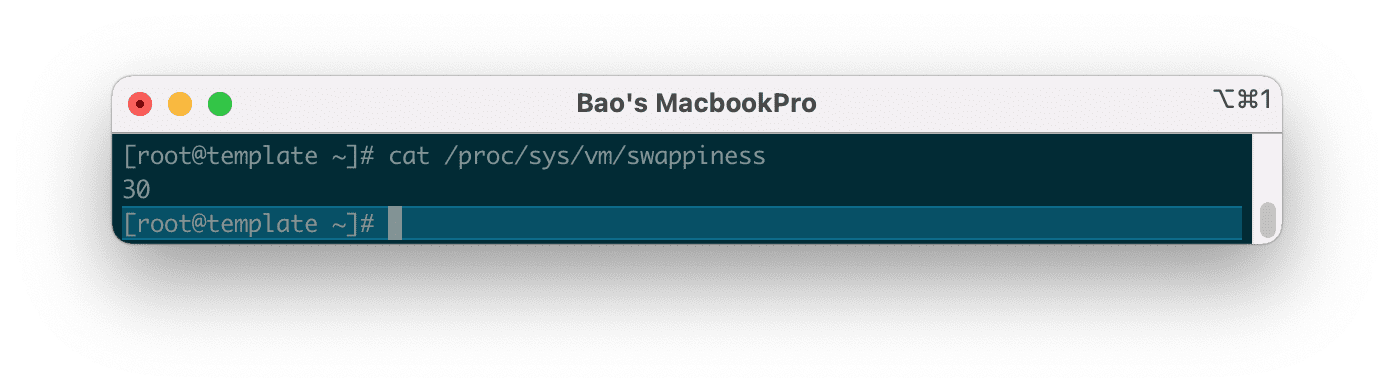 Hướng dẫn kích hoạt Swap trên Linux