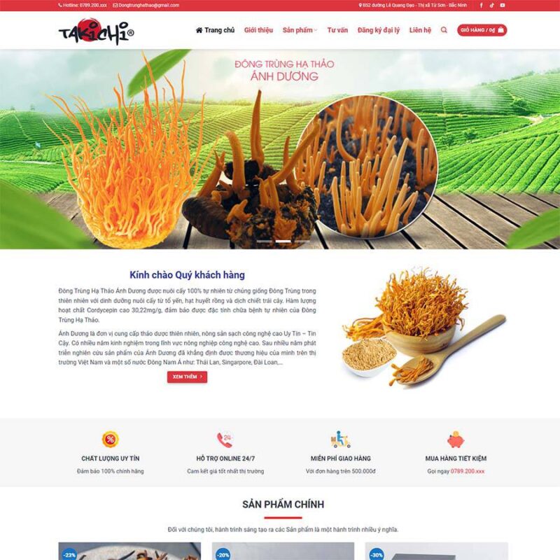 Website Tốc Độ Cao, KNST GROUP