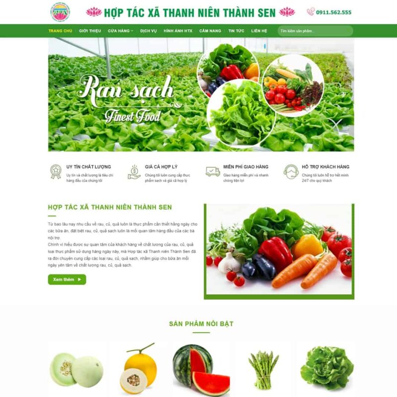Website Tốc Độ Cao, KNST GROUP