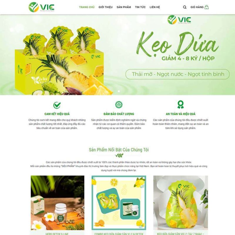 Website Tốc Độ Cao, KNST GROUP